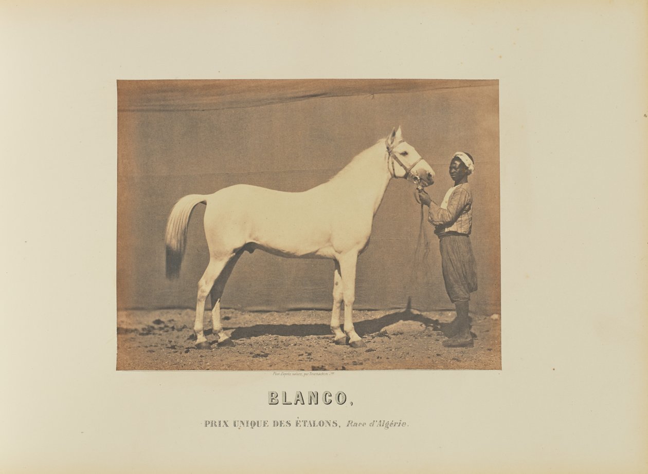  av Adrien Alban Tournachon