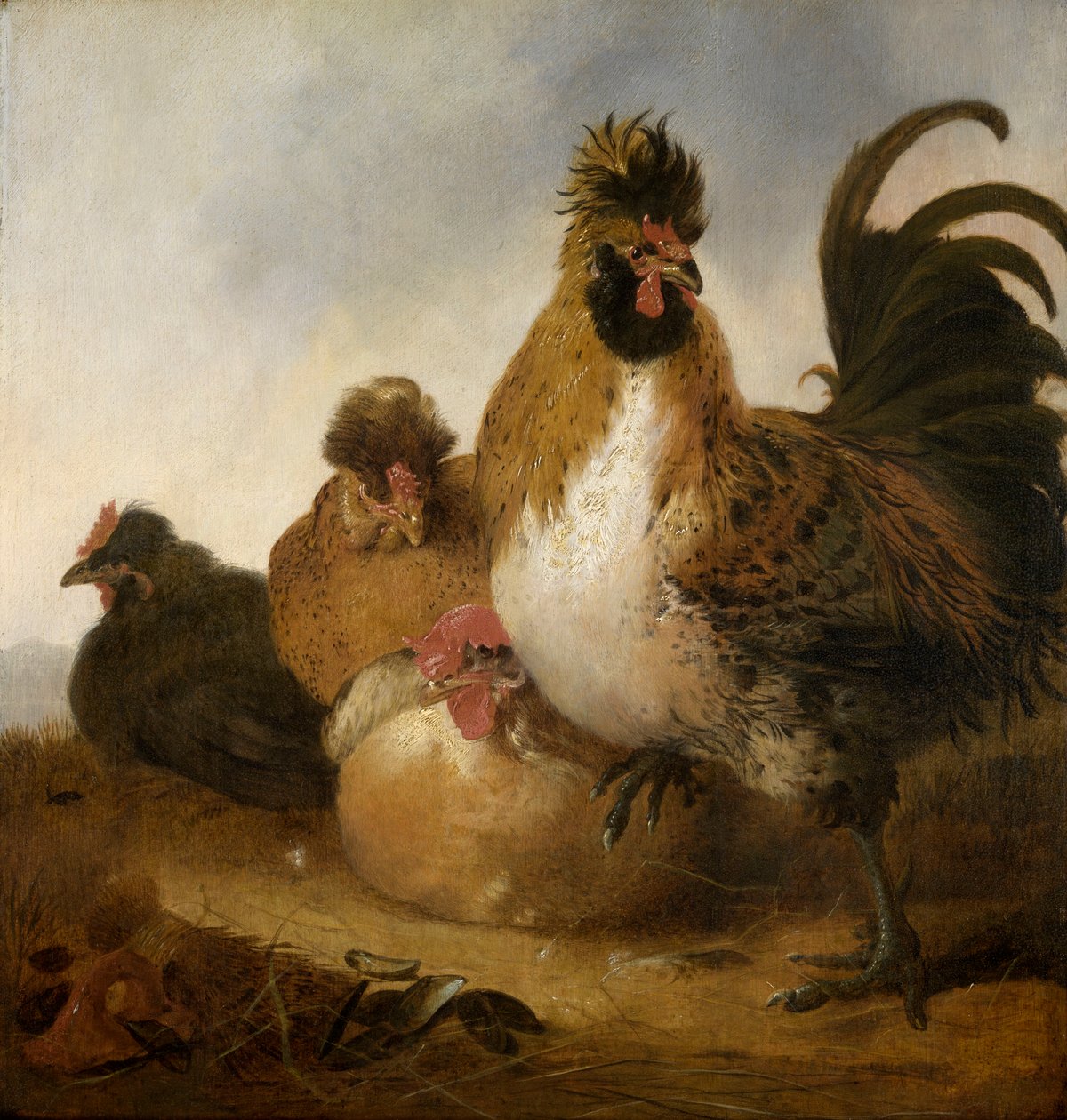En hane og høner (olje på panel) av Aelbert Cuyp