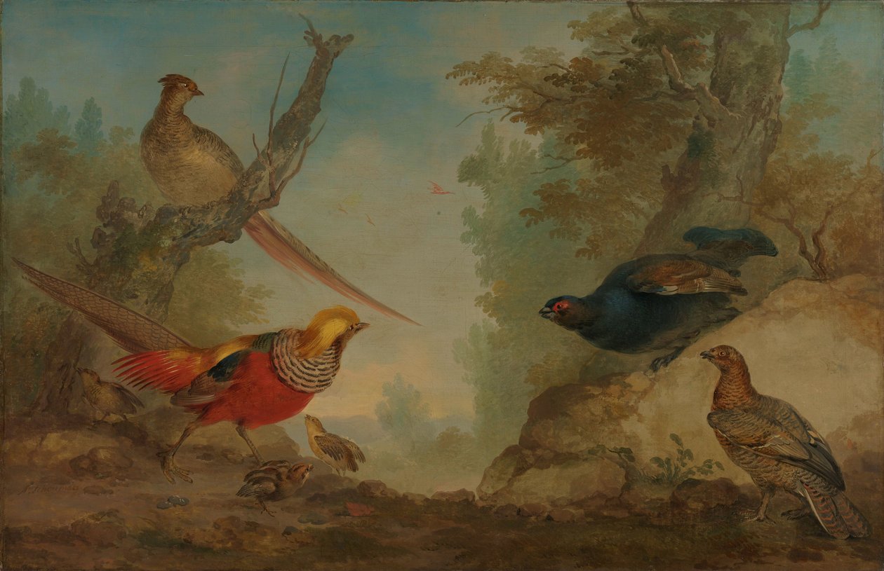 Fasaner av Aert Schouman