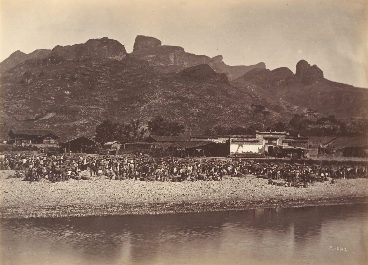 Andemarked, ca. 1869. av Afong Lai