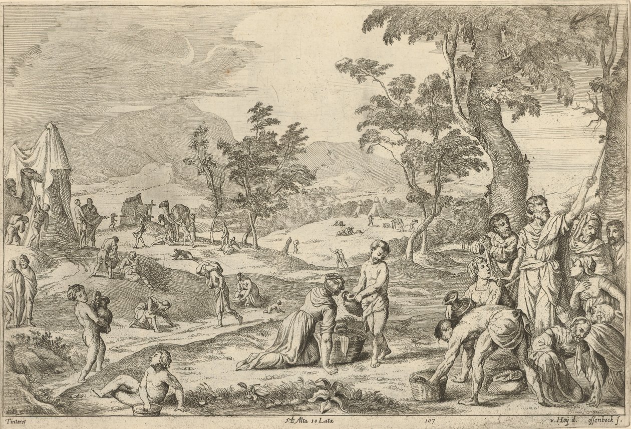 Israelitter samler manna av After David Teniers the Younger