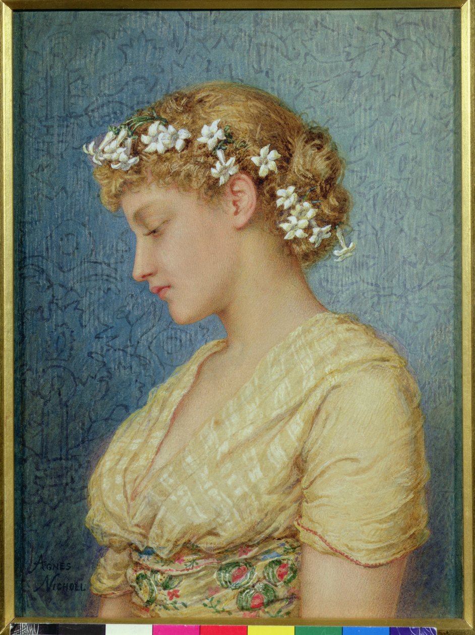 Stephanotis av Agnes Nicholl