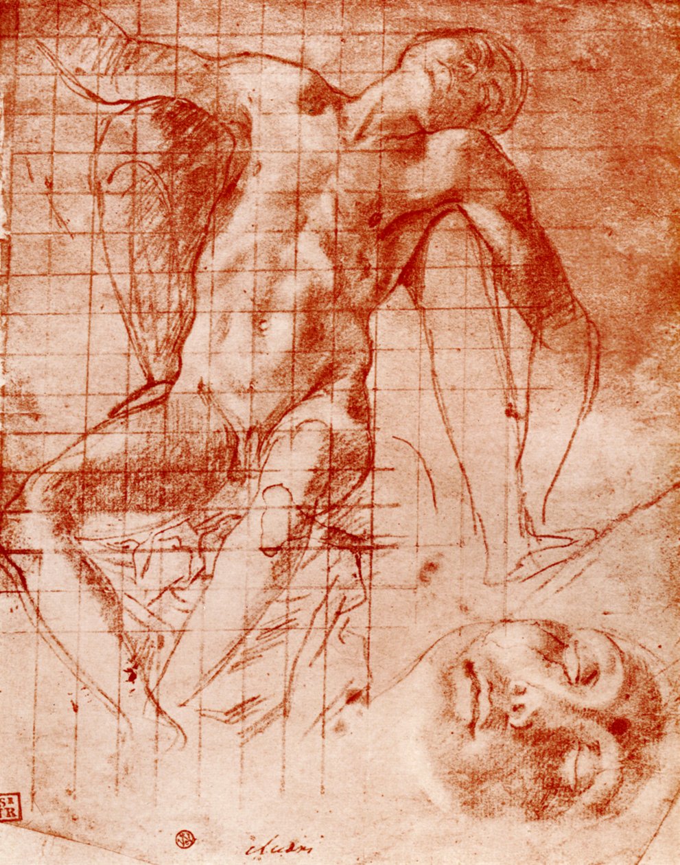 Studier, 1913. av Agnolo Bronzino