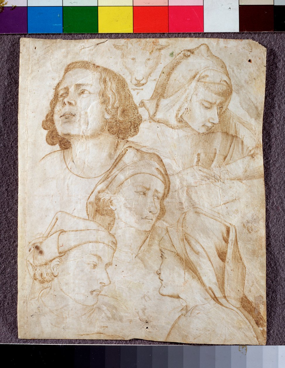 Hoder (tegning av Agnolo Gaddi