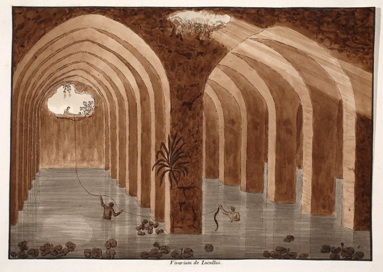The Vivarium of Lucullus, 1833 (etsing med brun vask) av Agostino Tofanelli