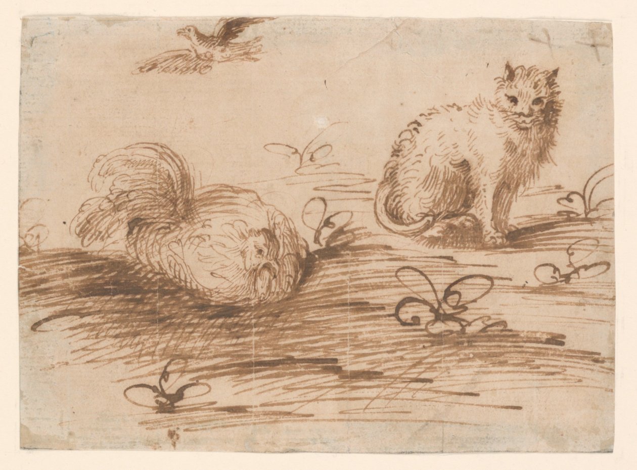 En katt og en høne av Agostino Carracci