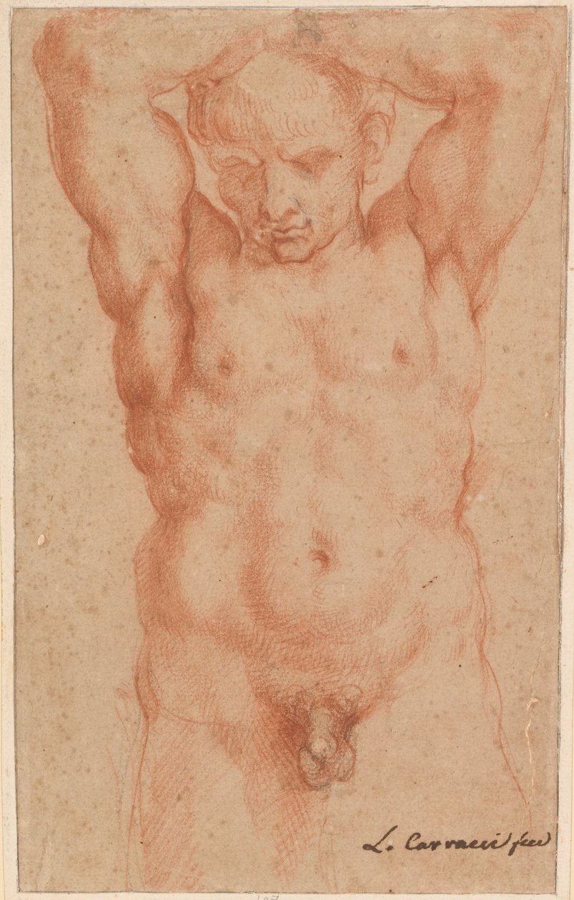 Naken mann av Agostino Carracci
