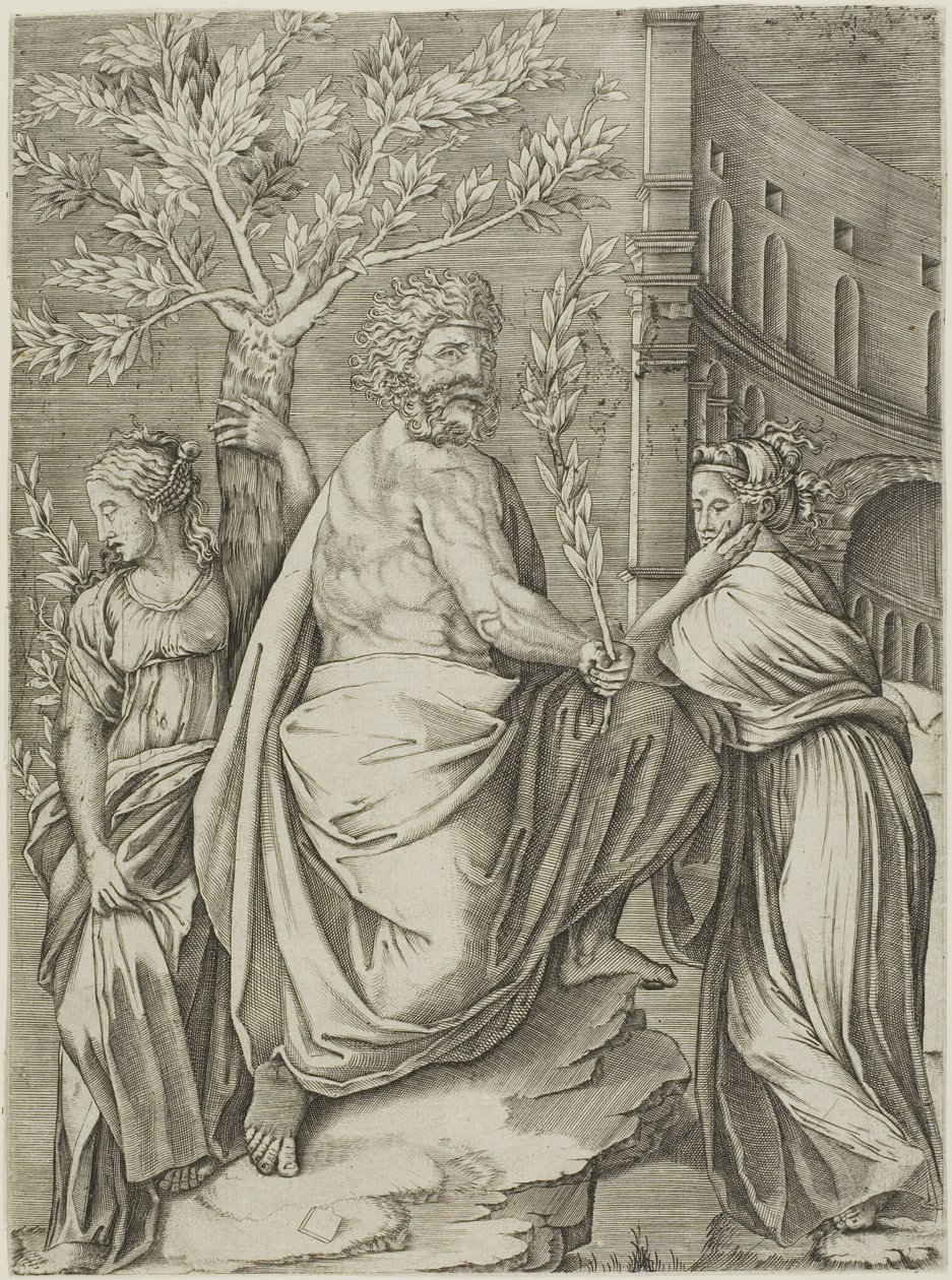 Mann under et laurbærtre av Agostino dei Musi