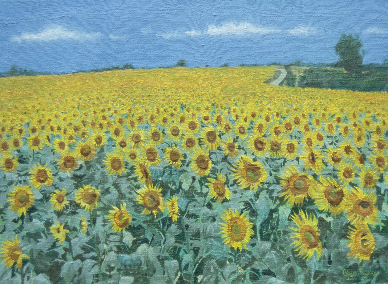 Field of Sunflowers, 2002 av Alan Byrne