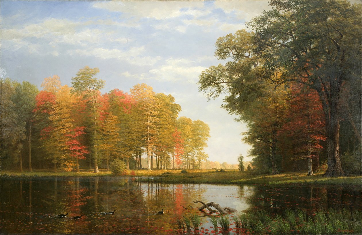 Autumn Woods, 1886 (olje på lin) av Albert Bierstadt