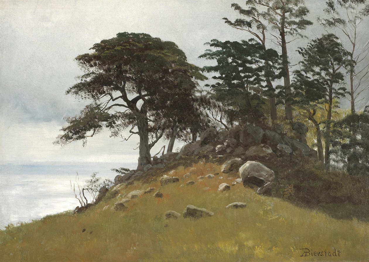 Cypress Point, Monterey av Albert Bierstadt