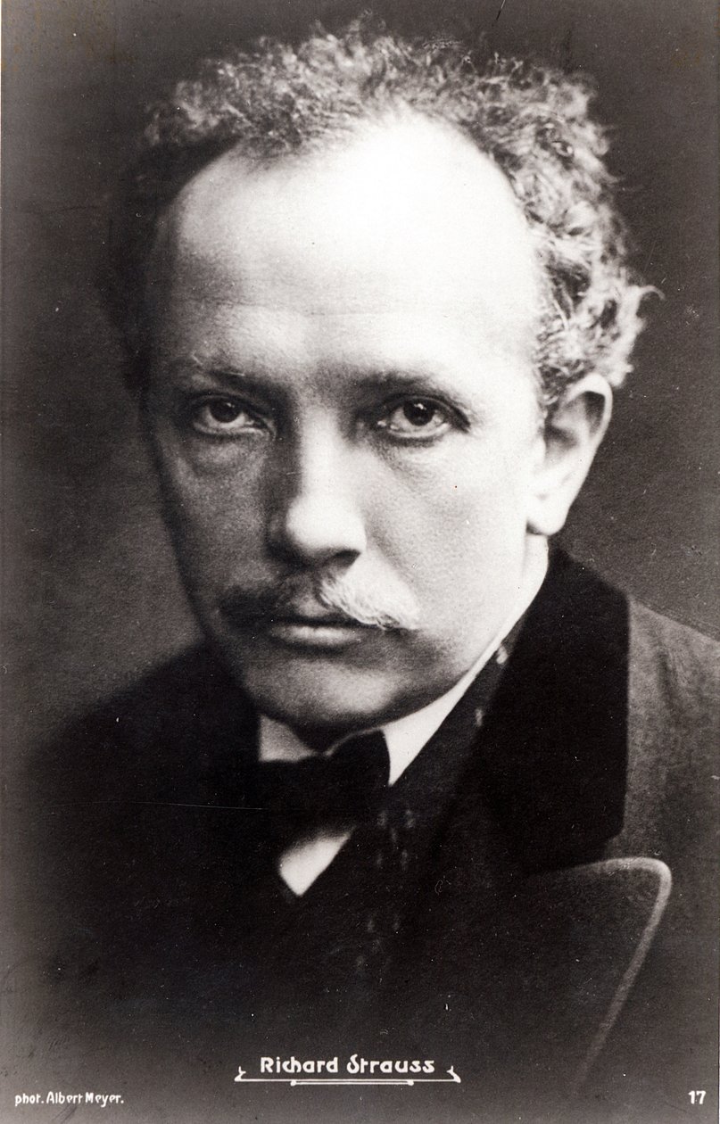 Richard Strauss av Albert Meyer