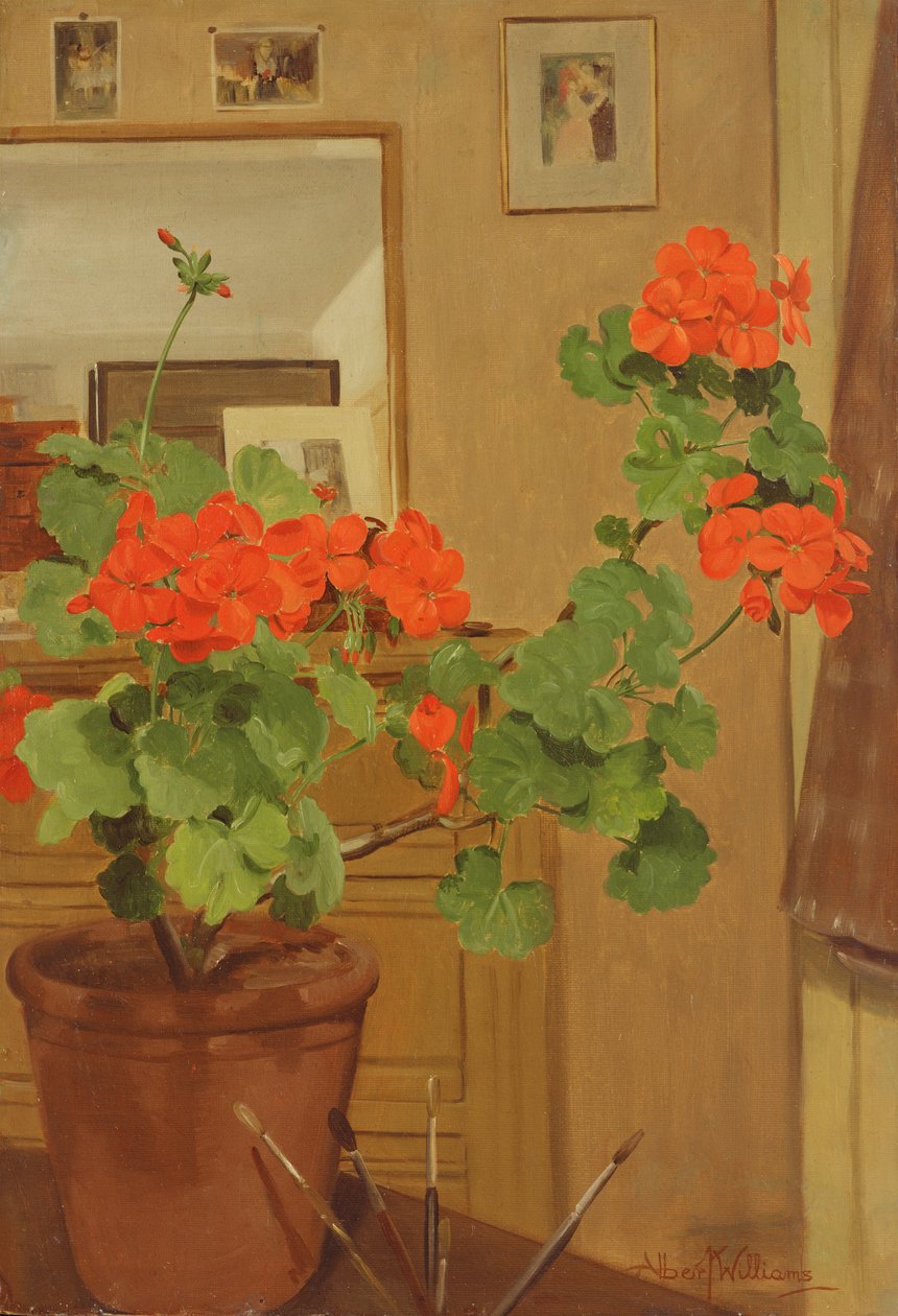 AB319 Geraniums in a Studio Corner, 1948-49 av Albert Williams