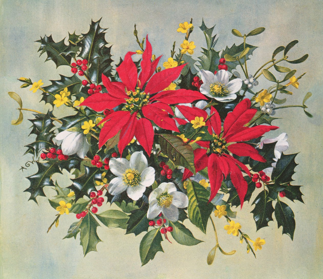 PB274 Juleblomster av Albert Williams