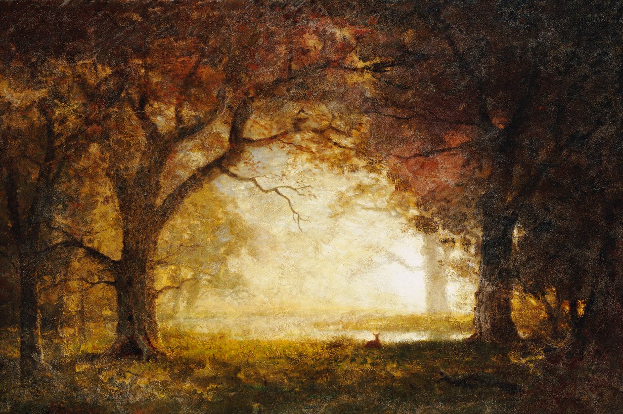 Skog soloppgang av Albert Bierstadt