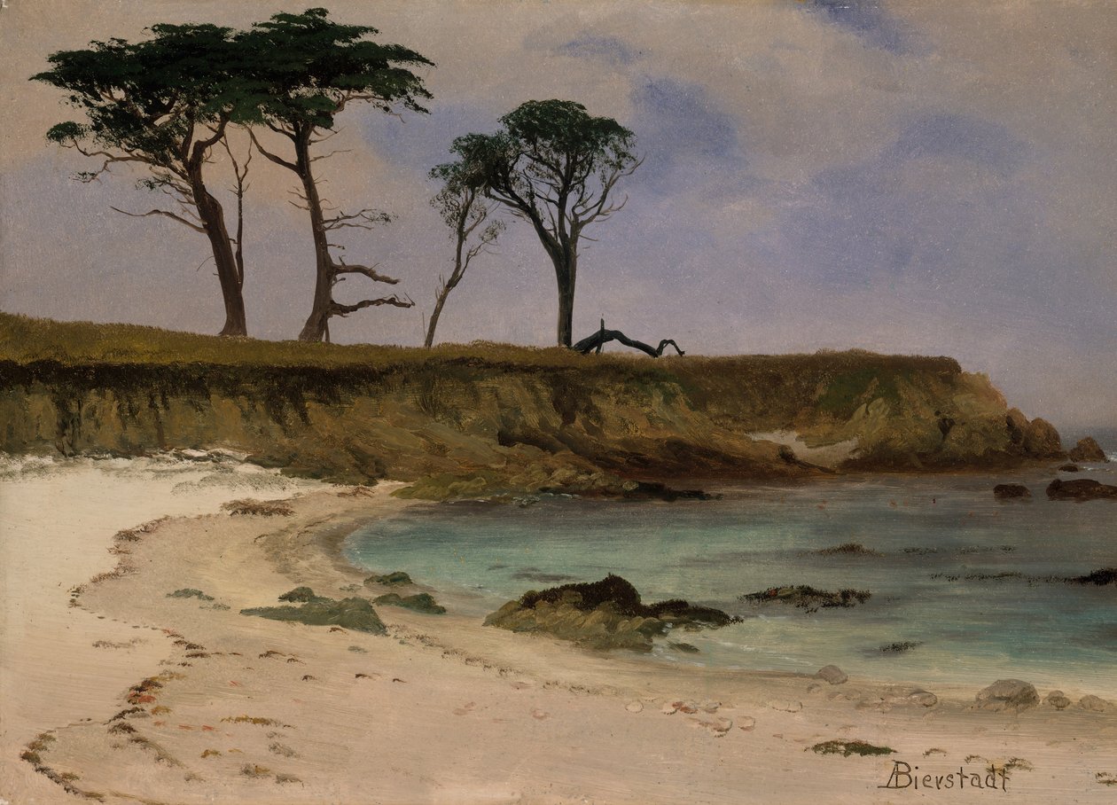 Sea Cove, ca. 1880-90. av Albert Bierstadt