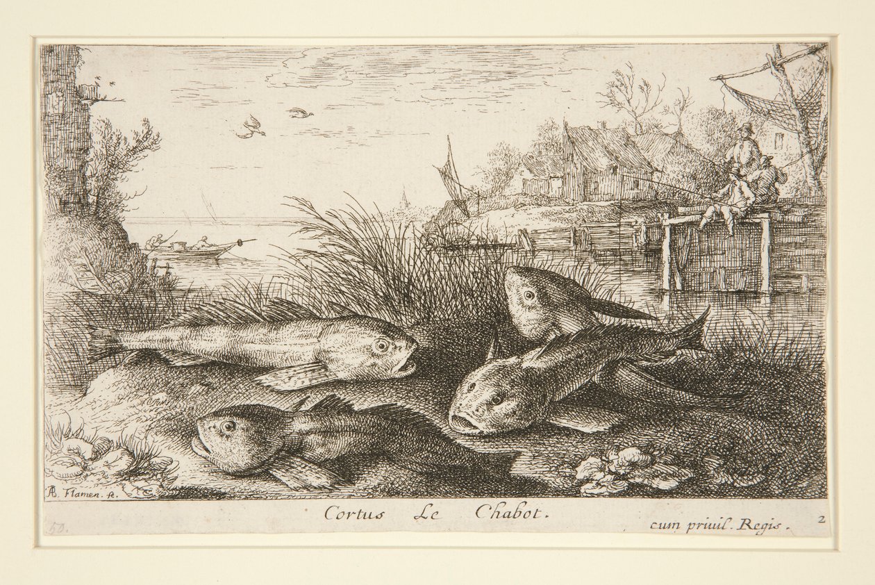 Cortus, Le Chabot av Albert Flamen