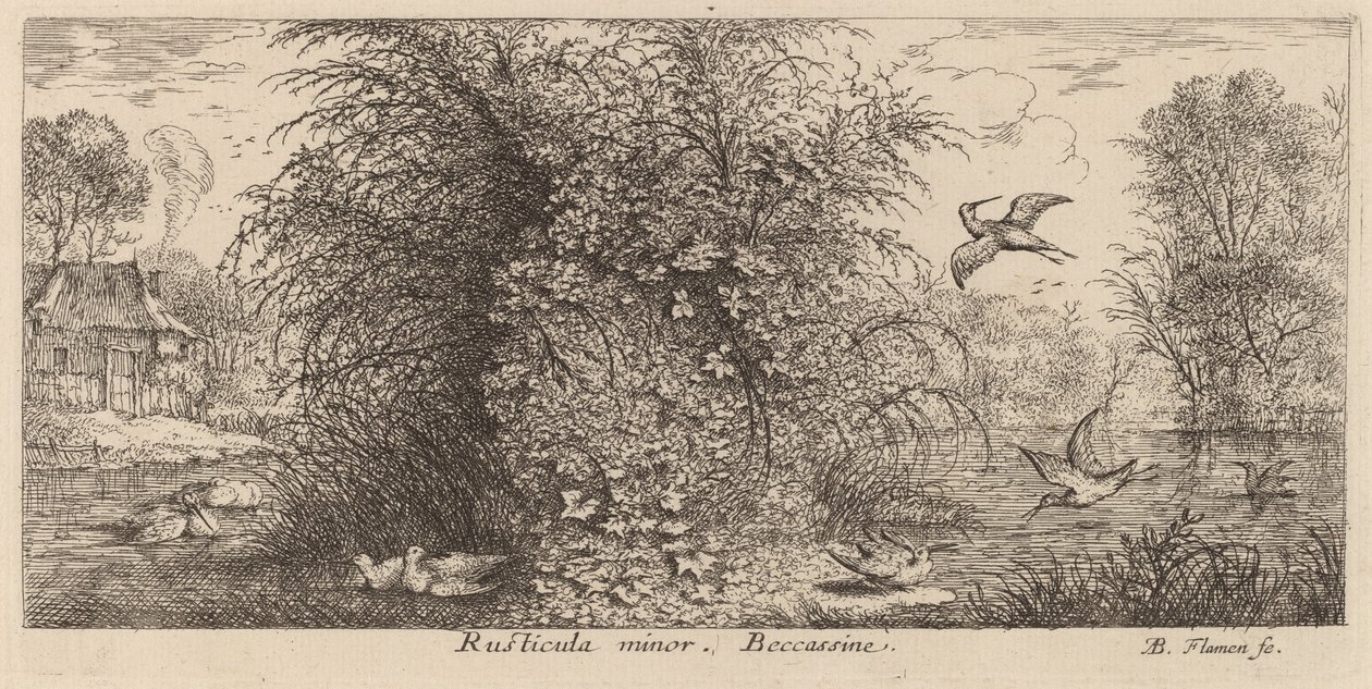 Rusticula minor, Snipe av Albert Flamen