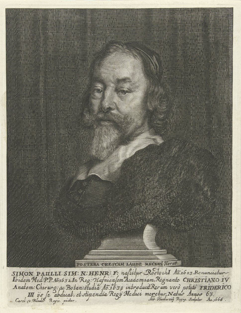 Buste van Simon Paulli av Albert Haelwegh