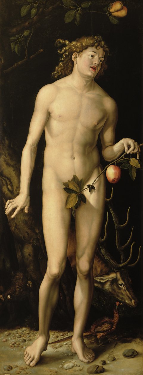 Adam av Albrecht Dürer