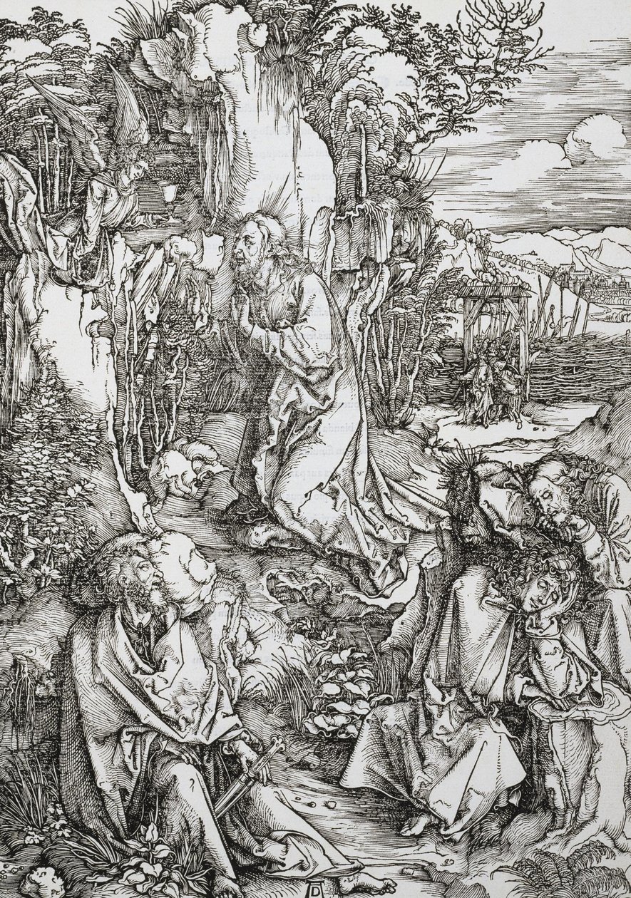 Sorg i hagen av Albrecht Dürer