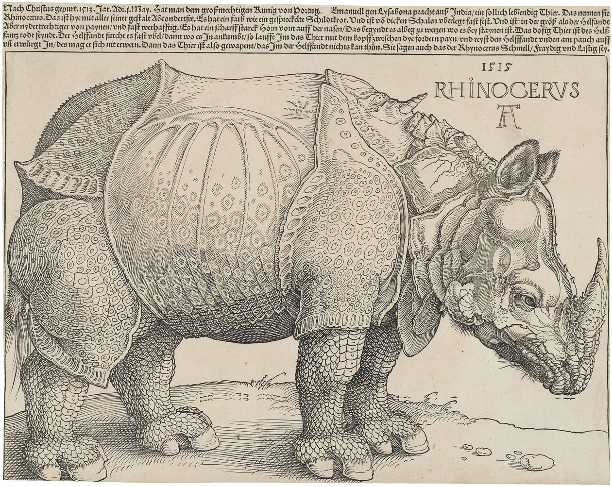 Neshornet, 1515 av Albrecht Dürer