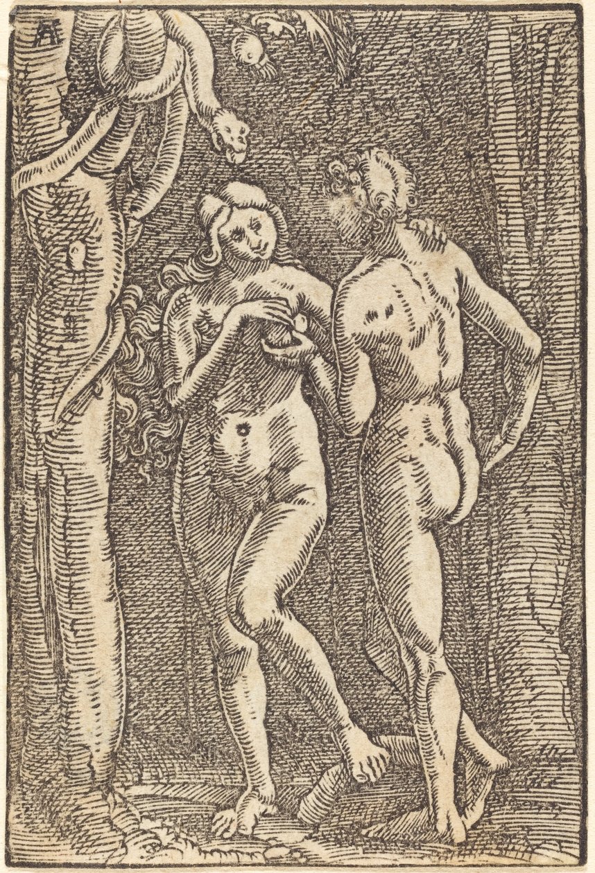 Menneskets fall av Albrecht Altdorfer