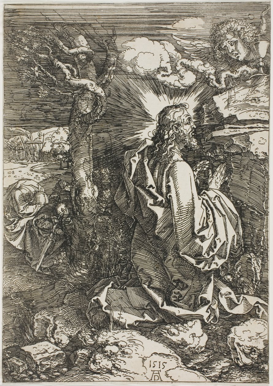 Kval i hagen av Albrecht Dürer
