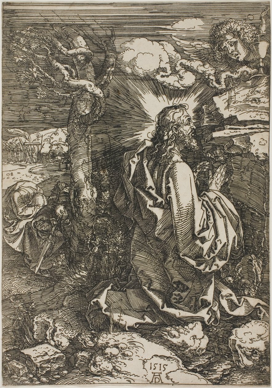 Kval i hagen av Albrecht Dürer