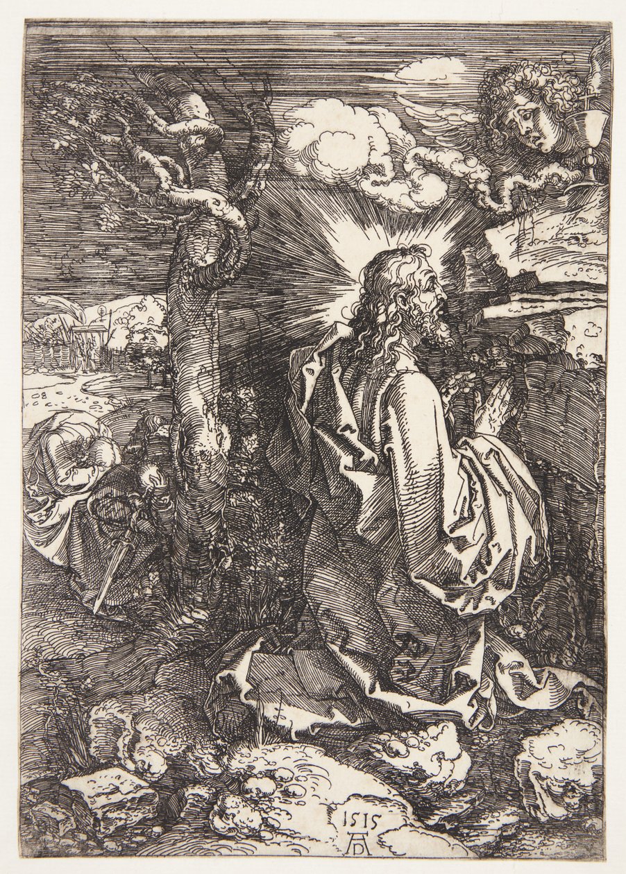 Kval i hagen av Albrecht Dürer