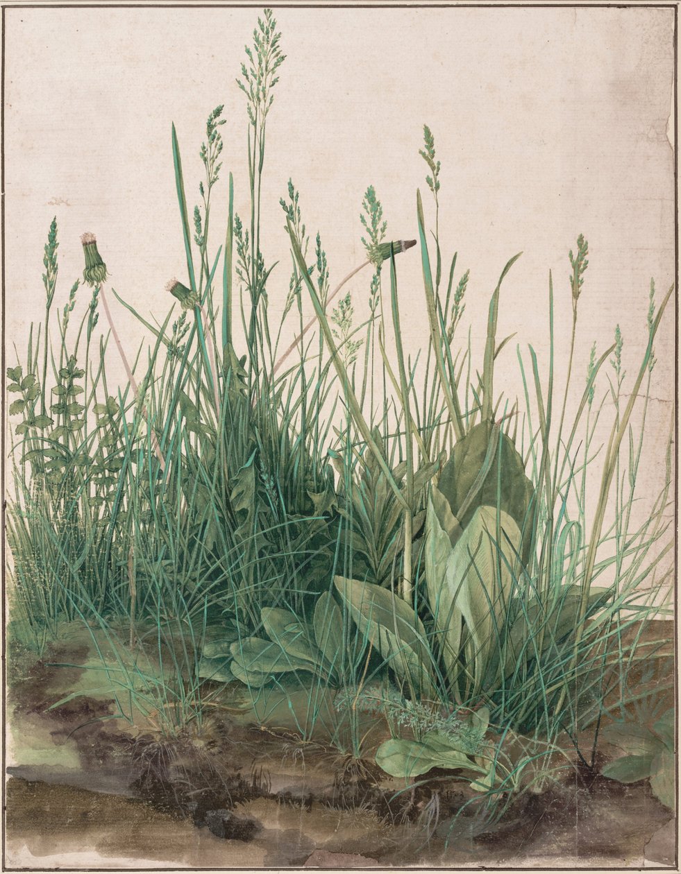 Det store plenstykket av Albrecht Dürer