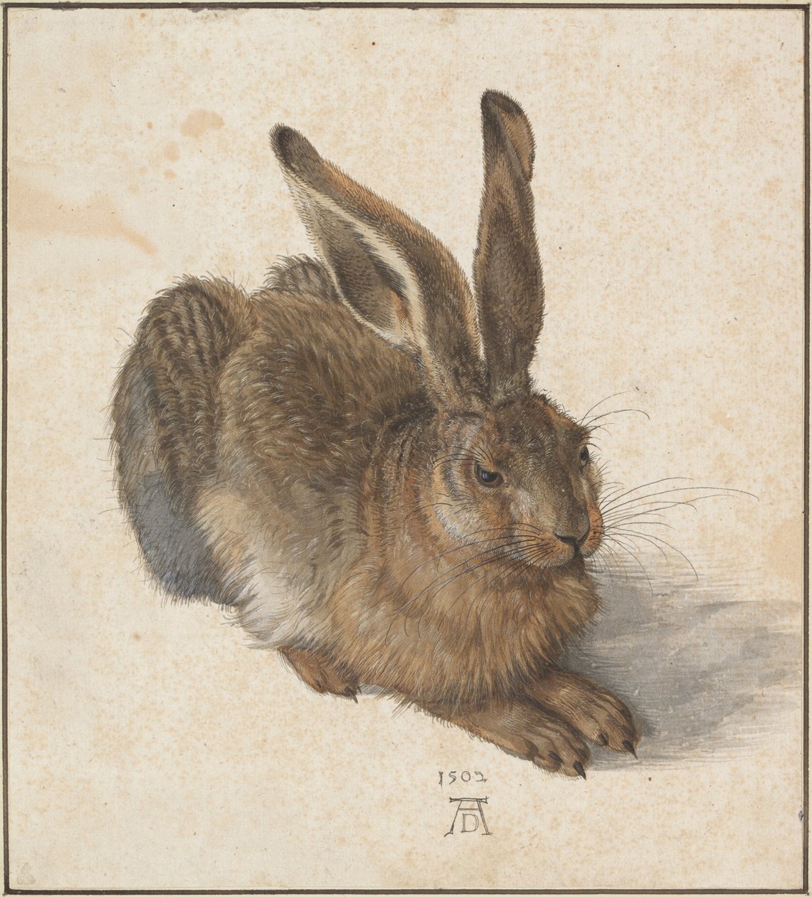Ja, 1502 av Albrecht Dürer