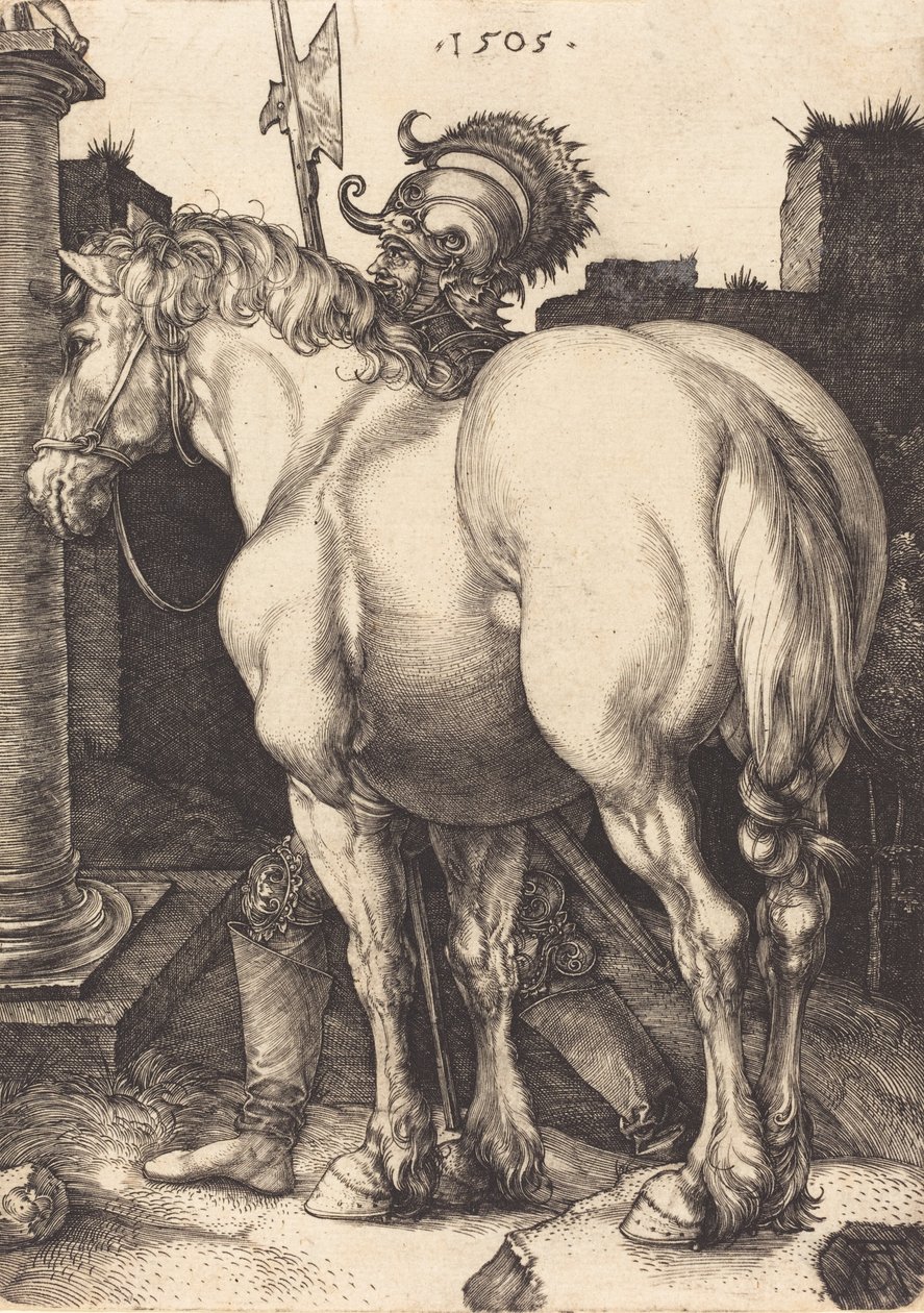 Stor hest, 1505. av Albrecht Dürer