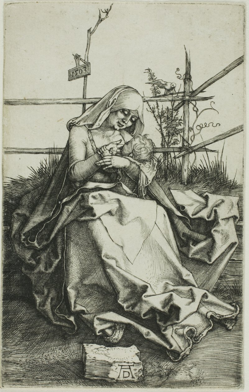 Madonna på en gresskledd bredd av Albrecht Dürer