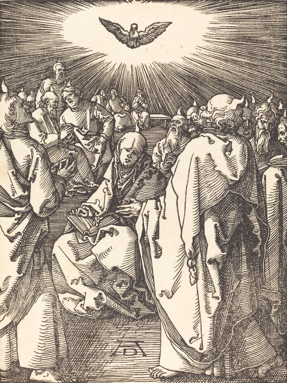 pinse, sannsynligvis ca. 15091510. av Albrecht Dürer