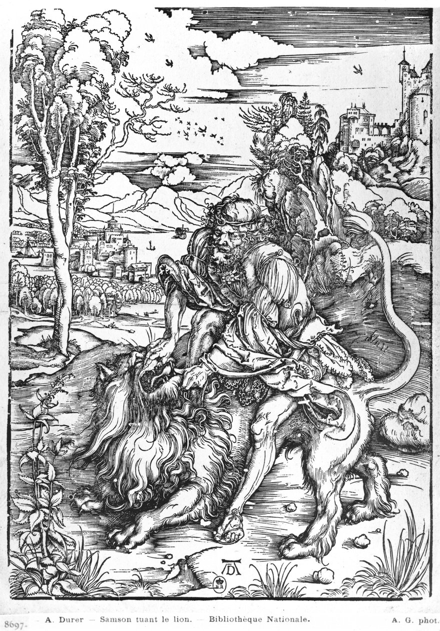 Samson dreper løven, ca. 1496-98 av Albrecht Dürer