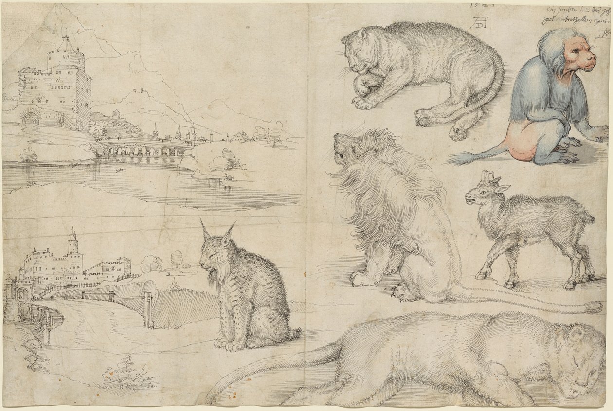 Skisser av dyr og landskap, 1521. av Albrecht Dürer