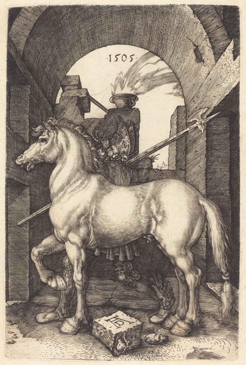 Liten hest, 1505. av Albrecht Dürer