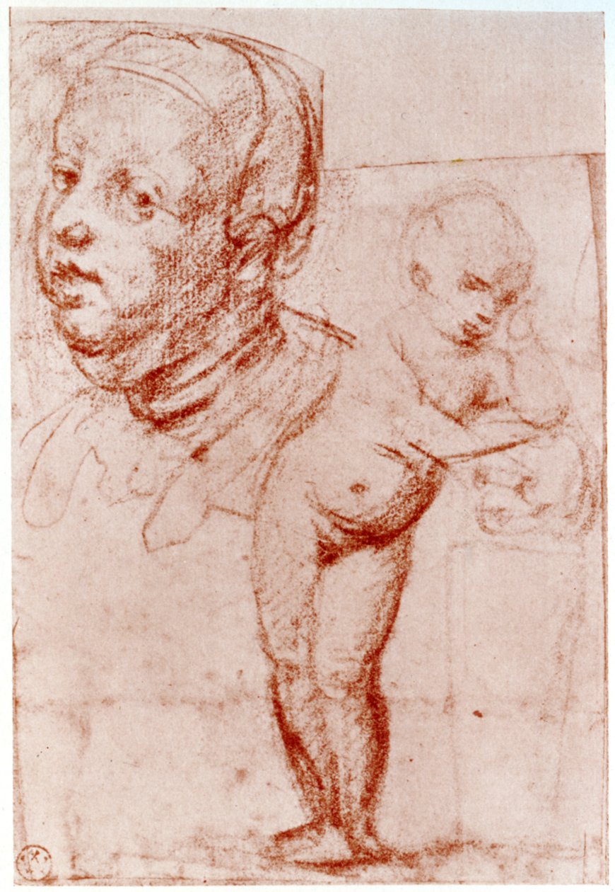 Studier, 1913. av Albrecht Dürer