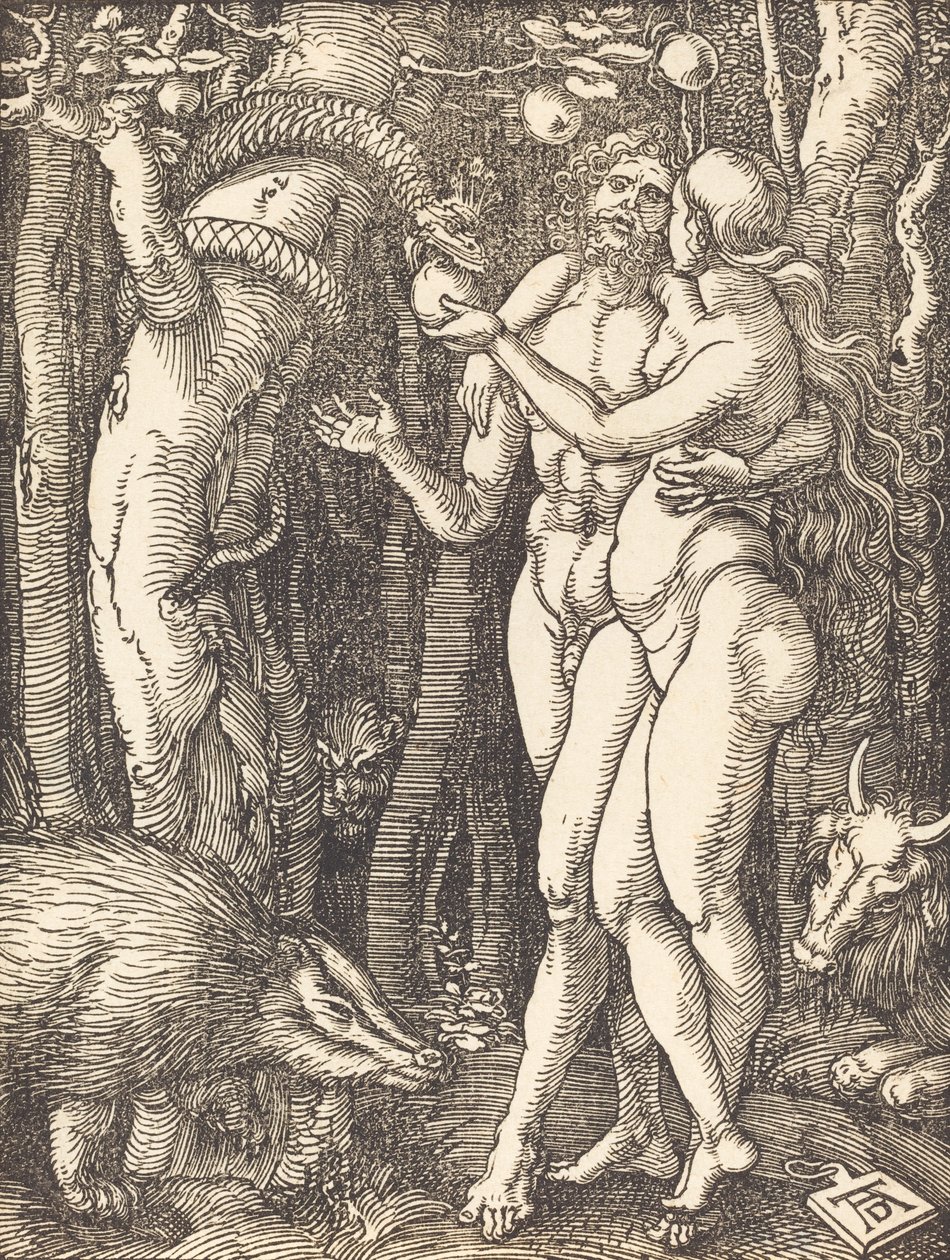 Menneskets fall, sannsynligvis ca. 15091510. av Albrecht Dürer