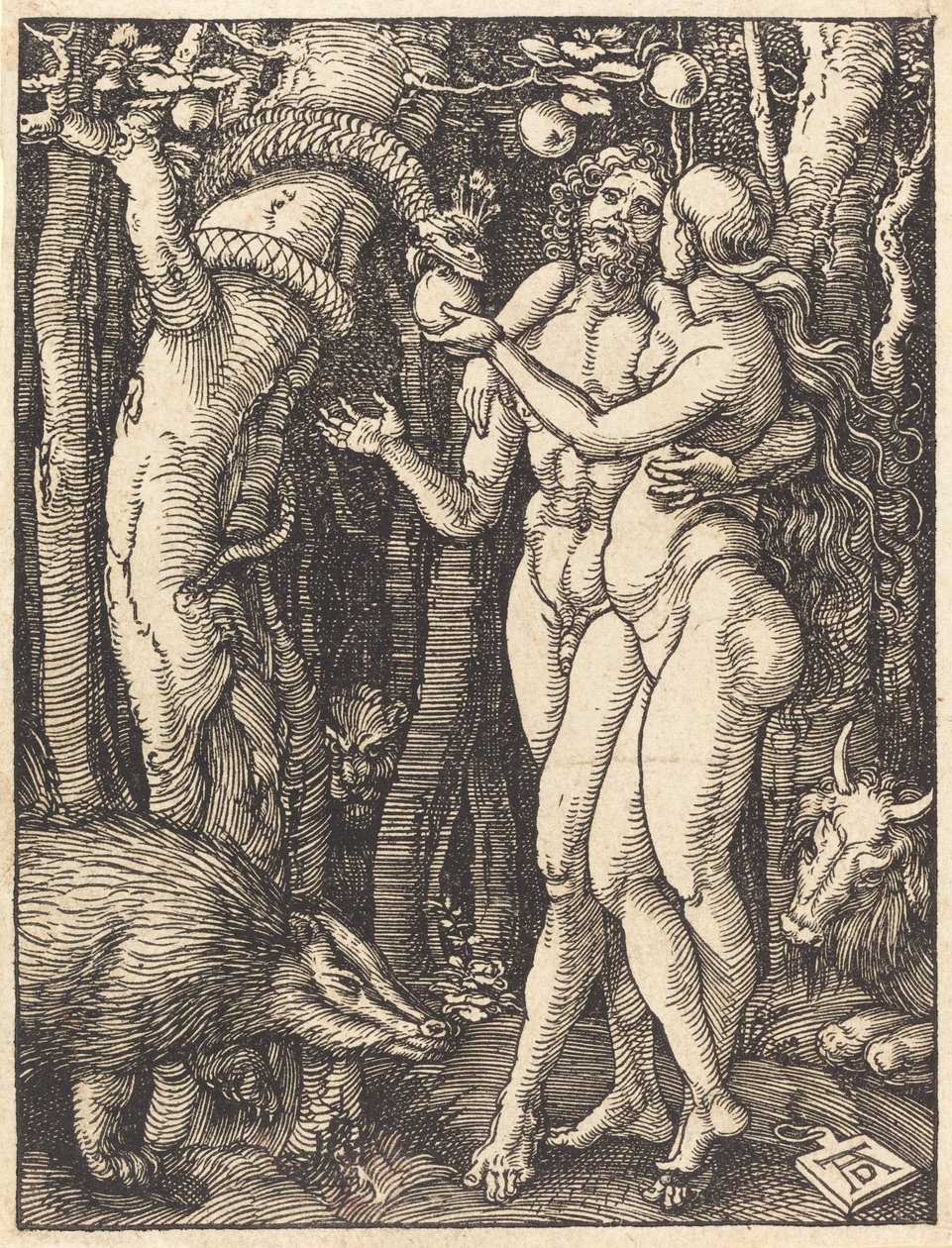 Menneskets fall, sannsynligvis ca. 15091510. av Albrecht Dürer