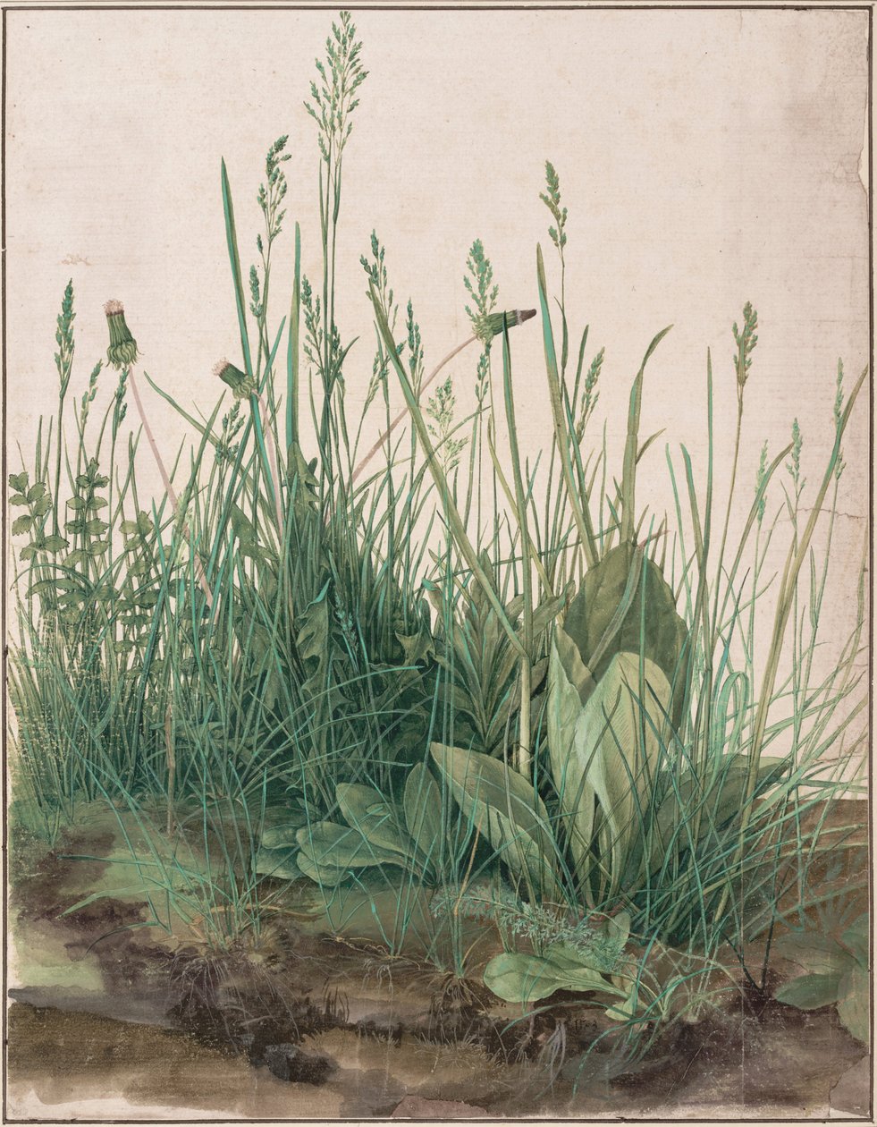 Det store torvstykket, 1503 av Albrecht Dürer