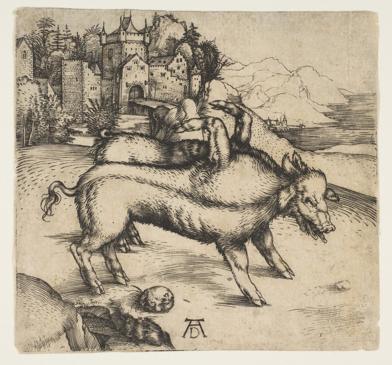 Den monstrøse grisen fra Landser, ca. 1496. av Albrecht Dürer