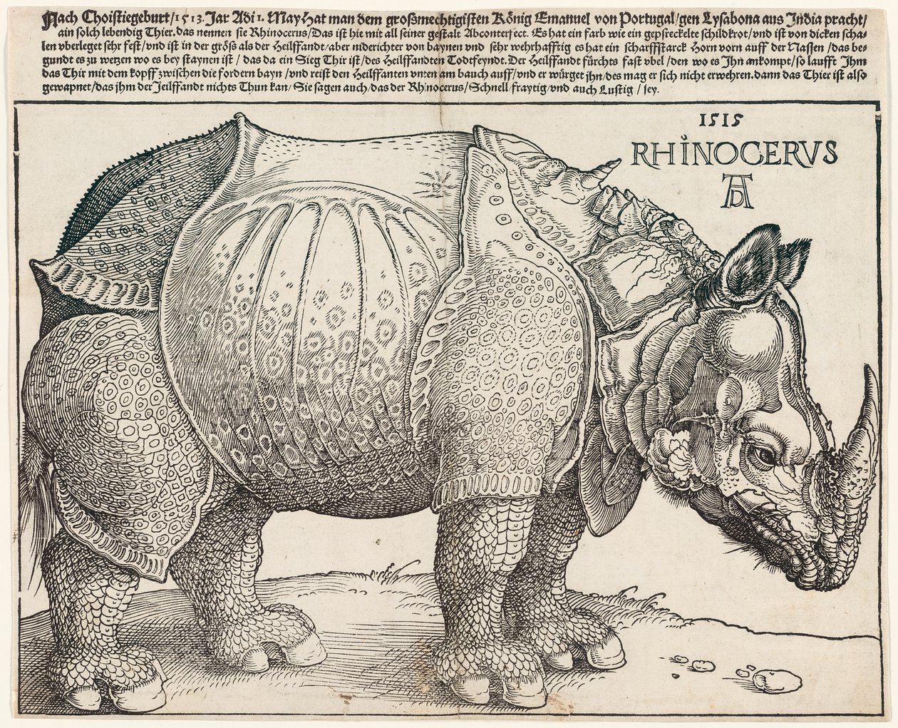Neshornet av Albrecht Dürer