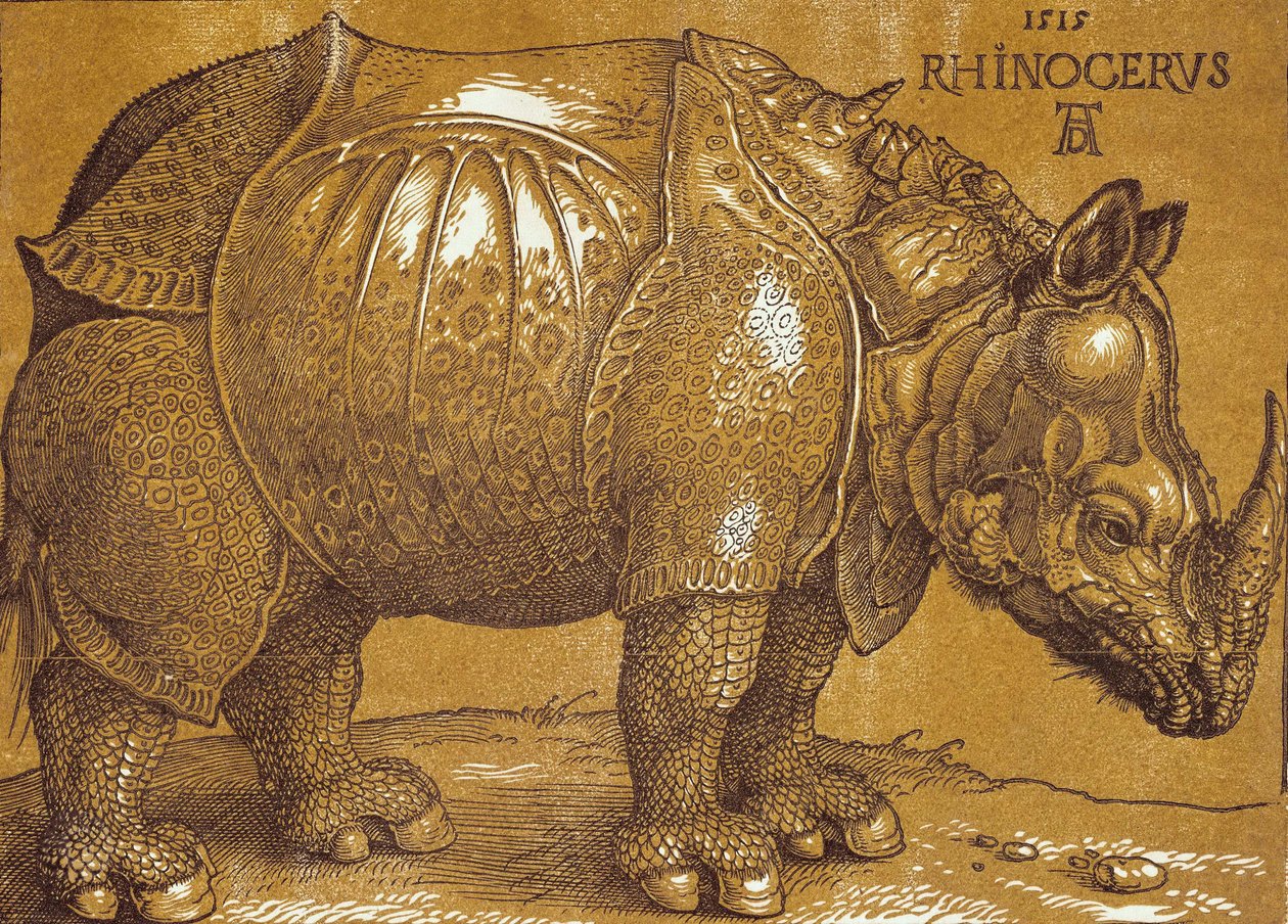 Neshornet, 1515. av Albrecht Dürer