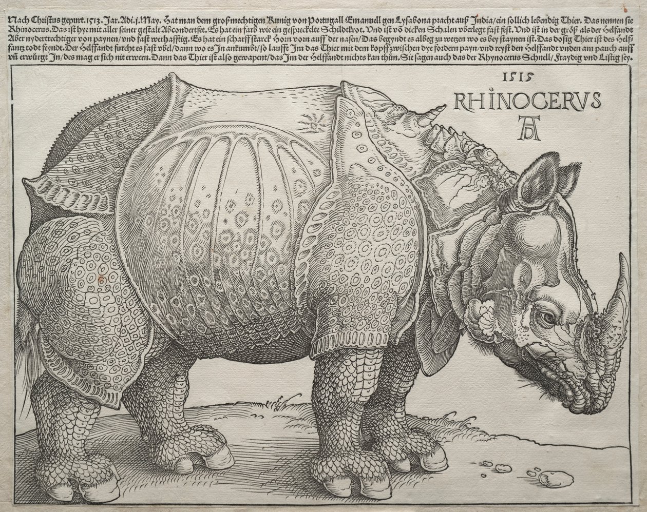 Neshornet, 1515. av Albrecht Dürer