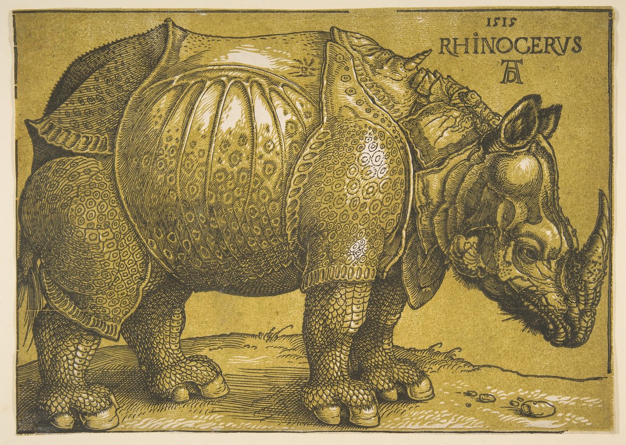 Neshornet, etter 1620. av Albrecht Dürer