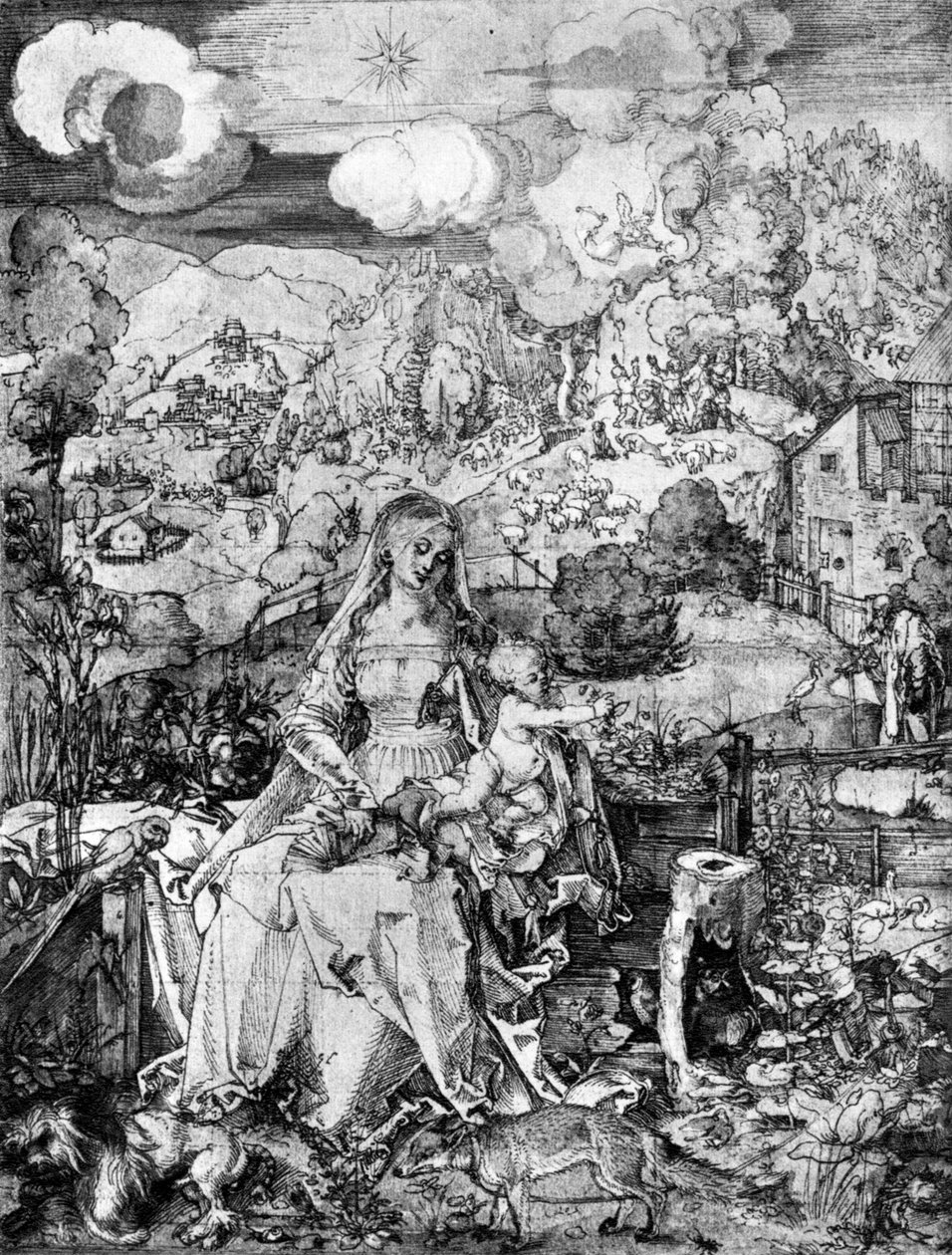 Jomfruen og mange dyr, 1505, 1936 av Albrecht Dürer