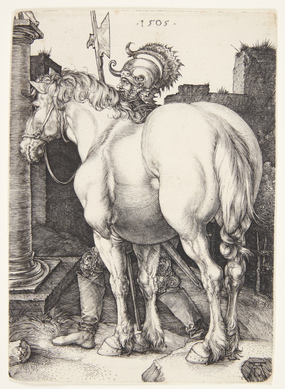 Den store hesten av Albrecht Dürer