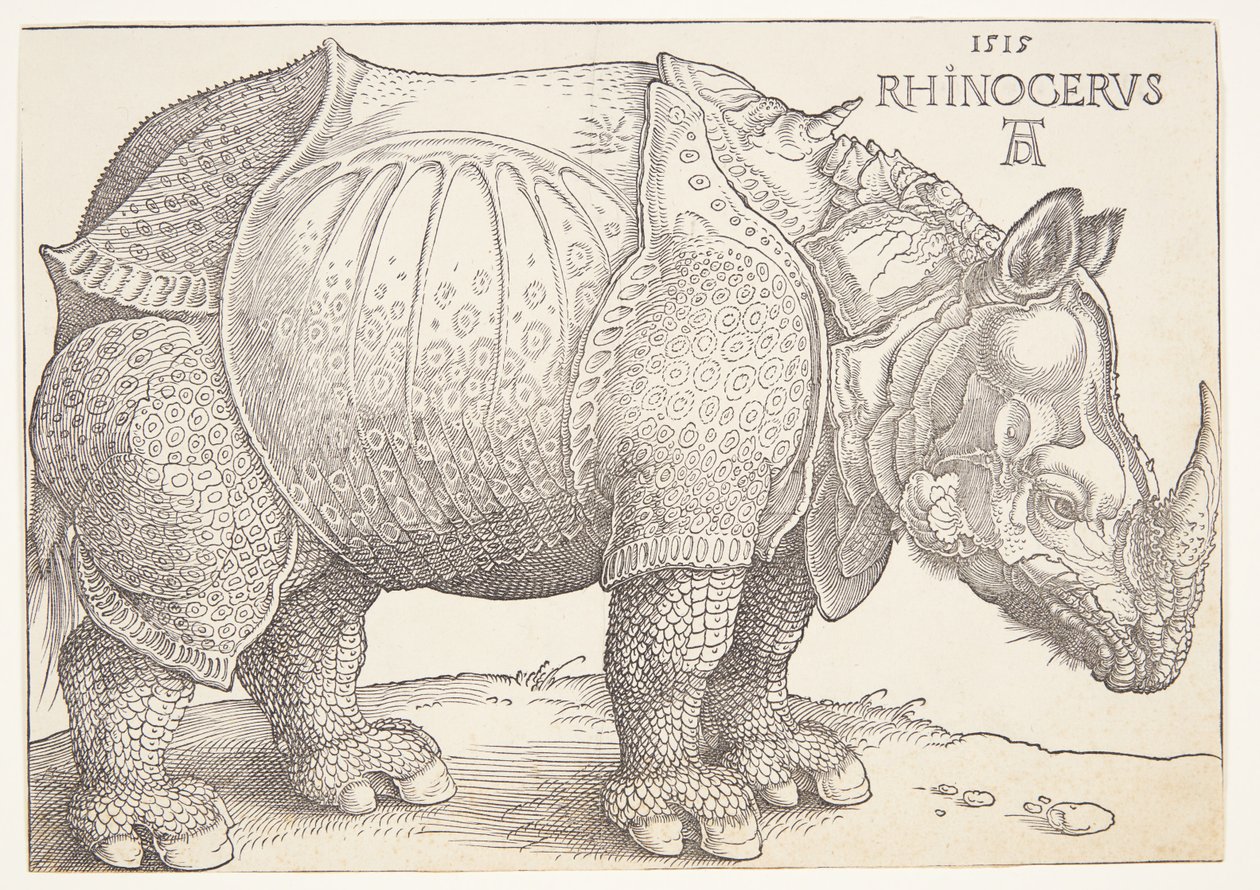 Neshornet av Albrecht Dürer